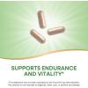 Nature’s Way Premium Herbal Siberian Eleuthero Root Supplement, Supports Endurance & Vitality*, Adaptogen*, 1,275mg per 3-Capsule Serving, Non-GMO Project Verified, 180 Capsules (Packaging May Vary)(180 Count (Pack of 1))