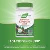Nature’s Way Premium Herbal Siberian Eleuthero Root Supplement, Supports Endurance & Vitality*, Adaptogen*, 1,275mg per 3-Capsule Serving, Non-GMO Project Verified, 180 Capsules (Packaging May Vary)(100 Count (Pack of 1))