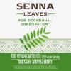 Nature’s Way Senna Leaves, Relieves Occasional Constipation*, 1,350 mg per 3-Capsule Serving, Non-GMO Project Verified, 100 Capsules (Packaging May Vary)(100 Count (Pack of 4))