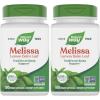 100 Count (Pack of 2)
