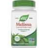 100 Count (Pack of 1)