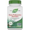 100 Count (Pack of 1)