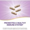 Nature’s Way Alive! Vitamin C Supplement Made with Organic Acerola Cherries, Immune Support*, Antioxidant Support*, 100% Fruit Source Vitamin C, 120 Capsules (Packaging May Vary)