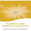 Nature’s Way Zinc Lozenges with Vitamin C & Echinacea, Zinc Supplements for Men and Women, Immune Support*, Wild Berry Flavor, 60 Lozenges (Packaging May Vary)(60 Count (Pack of 2))