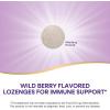 Nature’s Way Zinc Lozenges with Vitamin C & Echinacea, Zinc Supplements for Men and Women, Immune Support*, Wild Berry Flavor, 60 Lozenges (Packaging May Vary)(60 Count (Pack of 1))