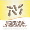 Nature’s Way Alive! Max6 Potency Adult Complete Multivitamin, Vitamins A,C, E & B-Vitamins, Methyl B12 & Folate, Supports Heart & Muscle Function and Energy Metabolism*, No Added Iron, 180 Capsules