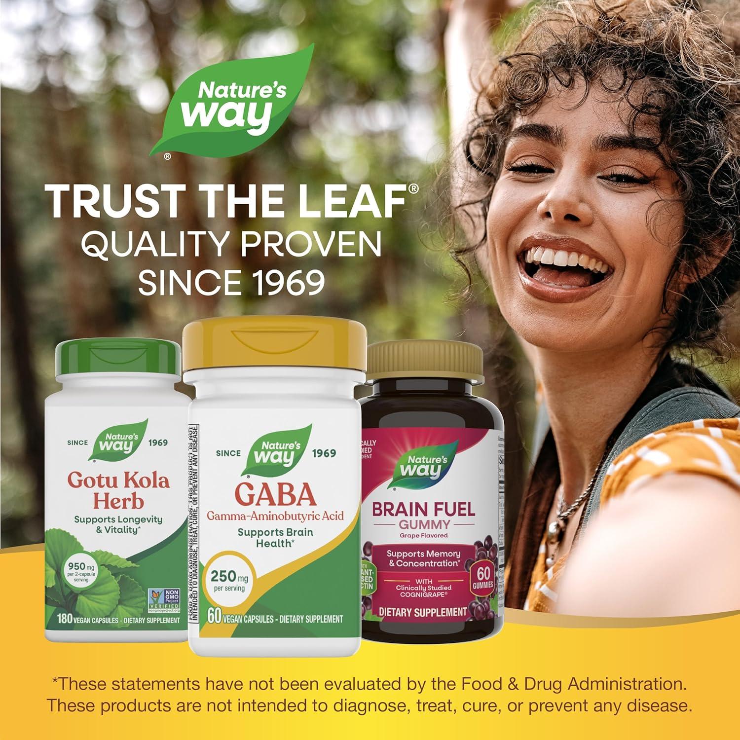 image:imageNatures Way GABA GammaAminobutyric Acid Supports Brain Health 250 mg per Serving 60 Vegan Capsules Packaging May Vary