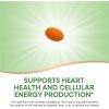 Nature’s Way CoQ10 with Ubiquinone, Supports Heart Health*, Supports Cellular Energy Production*, 100 mg per Serving, 120 Softgels (Packaging May Vary)(120 Count (Pack of 1))