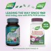 Nature’s Way Echinacea Goldenseal, Premium Blend, Supports Immune Health*, 900 mg per 2-Capsule Serving, Non-GMO Project Verified, Vegan, 100 Capsules (Packaging May Vary)