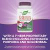 Nature’s Way Echinacea Goldenseal, Premium Blend, Supports Immune Health*, 900 mg per 2-Capsule Serving, Non-GMO Project Verified, Vegan, 100 Capsules (Packaging May Vary)