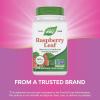 Nature’s Way Raspberry Leaf – Traditional Women’s Wellness Supplement for Plant-Based Support* – Traditional Herbal Supplement – Vegan, Gluten-Free & Dairy-Free – 100 Count (50 Servings)