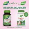 Nature’s Way Raspberry Leaf – Traditional Women’s Wellness Supplement for Plant-Based Support* – Traditional Herbal Supplement – Vegan, Gluten-Free & Dairy-Free – 100 Count (50 Servings)