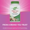 Nature’s Way Wild Yam Root, Women’s Traditional Health Support*, 700 mg per 2-Capsule Serving, Non-GMO Project Verified, 180 Vegan Capsules (Packaging May Vary)