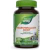 Nature’s Way Marshmallow Root – Marshmallow Root Herbal Supplement for Traditional Digestive Support* – Vegan Plant-Based Capsules – Gluten-Free & Dairy-Free – 100 Capsules (50 Servings)
